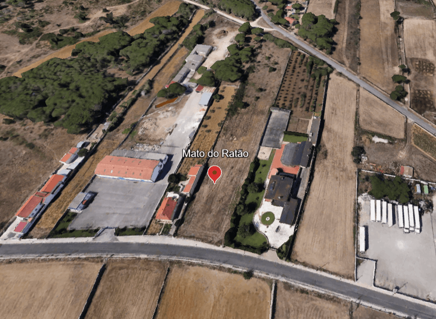 Mato do Ratão